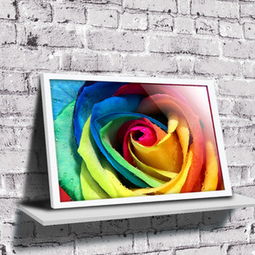 壁畫價格查詢與比較指南——以50-70元商品為例